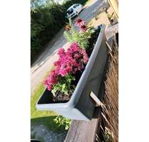 Nachmieter zum 01.06.2026 - 550,00&nbsp;EUR Kaltmiete, ca.&nbsp; 49,00&nbsp;m&sup2; in Samtens (PLZ: 18573)