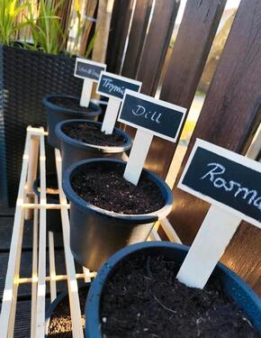 Foto - 2 Zimmer Erdgeschoßwohnung zur Miete in Samtens