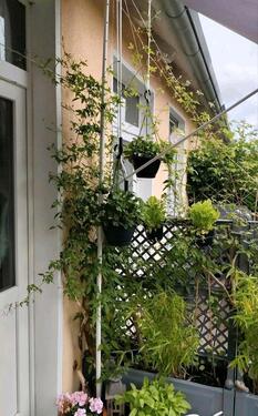 Foto - Erdgeschoßwohnung in Samtens zur Miete