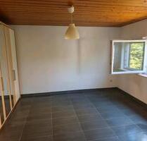 Gemütliches und ruhiges Einzimmer-Appartment in Reinheim