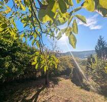 Auf Zeit: 80 m² möbliert, Garten & Burgblick – alles inklusive - Höchst im Odenwald