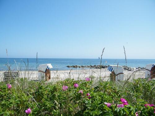 Foto - Ferienwohnung Ostseebad Schönhagen an OstseeSchlei (2 P.)