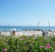 Ferienwohnung Ostseebad Schönhagen an OstseeSchlei (2 P.) - Kappeln