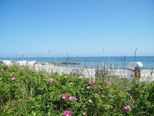 Foto - andere zur Miete in Kappeln