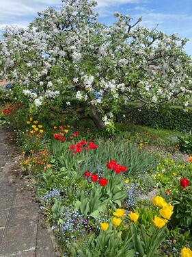 Foto - 7 Zimmer Einfamilienhaus zum Kaufen in Marburg
