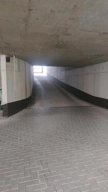 Foto - andere in Dresden