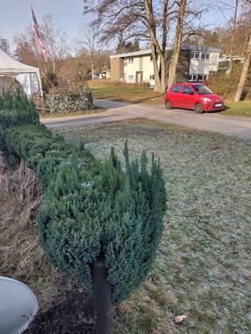 Foto - Parzelle Grünberg Campingplatz - 500,00&nbsp;EUR Kaltmiete, ca.&nbsp; 100,00&nbsp;m&sup2;