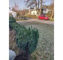 Parzelle Grünberg Campingplatz - 499,00&nbsp;EUR Kaltmiete, ca.&nbsp; 100,00&nbsp;m&sup2; in Mücke (PLZ: 35325)