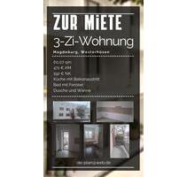 3-Zimmer-Wohnung Magdeburg Westerhüsen WG geeignet