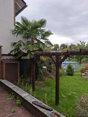 Foto - Einfamilienhaus in Zülpich zum Kaufen