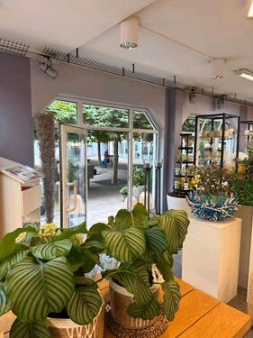 Foto - andere in Stein