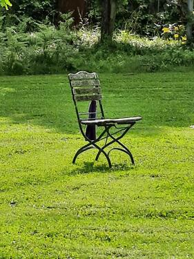 Foto - Raum zu vermieten - 450,00&nbsp;EUR Kaltmiete, ca.&nbsp; 24,00&nbsp;m&sup2;