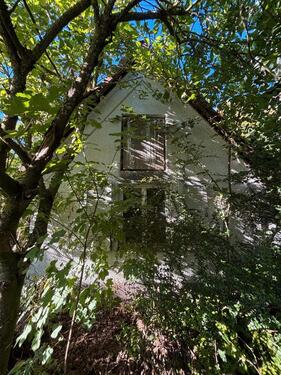 Foto - Einfamilienhaus in Seibersbach zum Kaufen