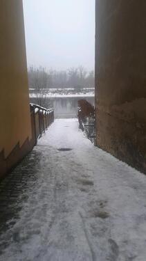 Foto - 5 Zimmer Einfamilienhaus zum Kaufen in Coswig (Anhalt)