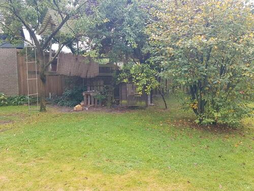 Foto - 6 Zimmer Einfamilienhaus in Hatten