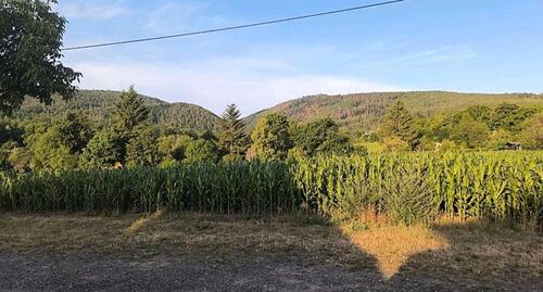 Foto - 2 Zimmer andere zur Miete in Saalfeld (Saale)