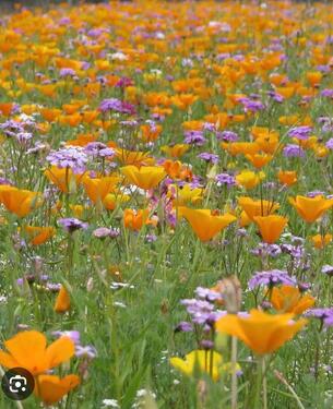 Foto - 57 qm Wohnung mit WBS in Stadtlohn zu vermieten