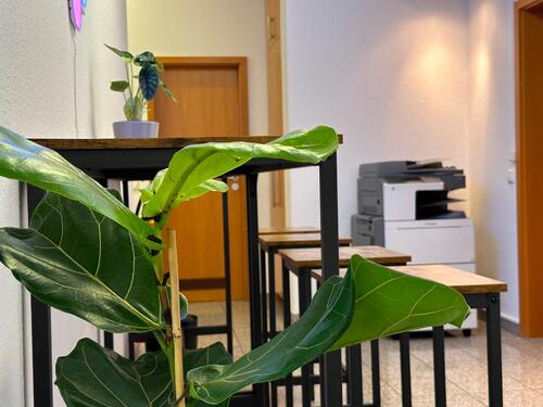 Foto - DayPass All-Inclusive: Moderner Schreibtisch am Stadtpark, sofort verfügbar