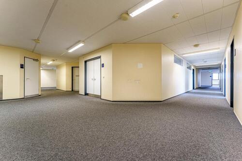 Foto - andere in Hamburg