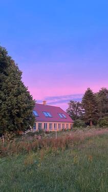 Foto - Kleiner idyllischer Hof auf Sydals DK Pferdehaltung