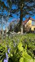 Foto - 7 Zimmer Bauernhaus, Landhaus zum Kaufen in Harrislee
