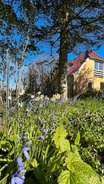 Foto - 7 Zimmer Bauernhaus, Landhaus zum Kaufen in Harrislee