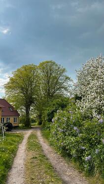 Foto - 7 Zimmer Bauernhaus, Landhaus in Harrislee