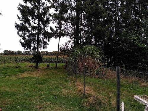 Foto - 6 Zimmer Bauernhaus, Landhaus zum Kaufen in Lienen