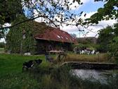 Foto - Bauernhaus, Landhaus in Lienen zum Kaufen