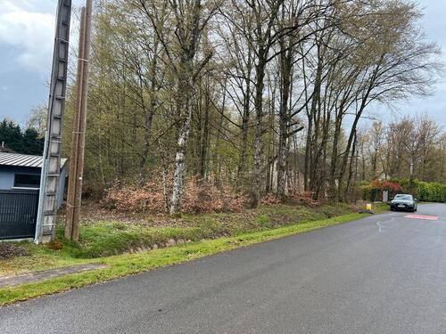 Foto - andere zum Kaufen in Saarwellingen