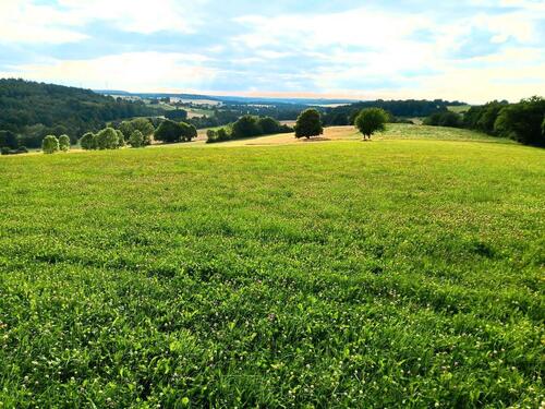 Foto - Grundstück zur Miete in Herbstein