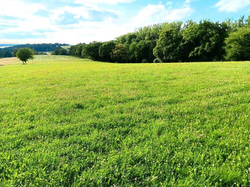 Foto - Grundstück in Herbstein