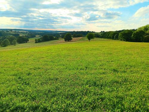 Foto - Grundstück in Herbstein zur Miete