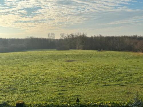 Foto - Wohnung zu vermieten - 750,00&nbsp;EUR Kaltmiete, ca.&nbsp; 74,00&nbsp;m&sup2;