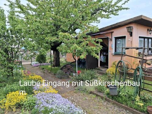 Foto - Kleingarten in Schmellwitz am TKC Nähe Gewerbegebiet
