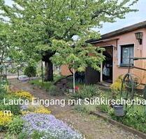 Kleingarten in Schmellwitz am TKC Nähe Gewerbegebiet - Cottbus Spremberger Vorstadt
