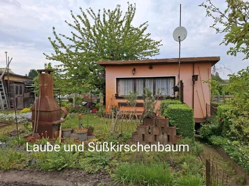 Foto - Grundst&uuml;ck zur Miete in Cottbus