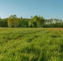 Wiese zum Heuen - 250,00&nbsp;EUR Kaltmiete, ca.&nbsp; 0,00&nbsp;m&sup2; in Senden (PLZ: 48308)