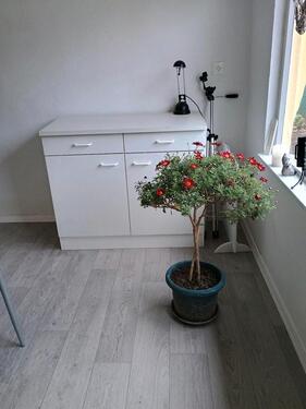 Foto - Pachtgarten in Aschersleben - 1.500,00&nbsp;EUR Kaltmiete, ca.&nbsp; 0,00&nbsp;m&sup2;