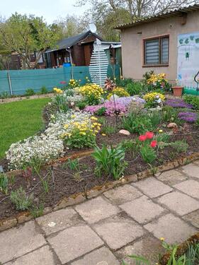 Foto - Grundst&uuml;ck in Aschersleben zur Miete