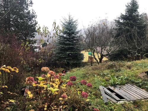 Foto - Wohnen im Grünen: Komplett Sanierte 2 ZiWhg in Neuenbürg