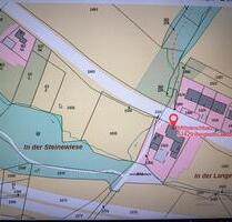 Wiese und Wald mit diversen Nutzungen zur Pacht Bensberg - Bergisch Gladbach Alt-Frankenforst