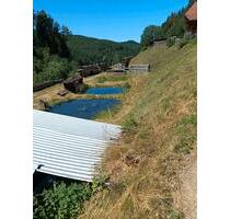 Freizeitgrundstück fischweiher Fischteich Hütte Wiesengrundstück - Schuttertal