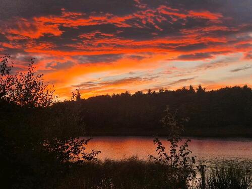 Foto - andere in Wiefelstede