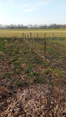 Foto - Gartenparzellen Gemüsegarten Gartengrundstück zu vermieten