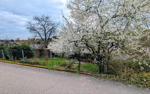 Foto - SchrebergartenKleingarten - 20,00&nbsp;EUR Kaltmiete, ca.&nbsp; 0,00&nbsp;m&sup2;