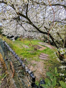 Foto - Grundst&uuml;ck zur Miete in Aglasterhausen