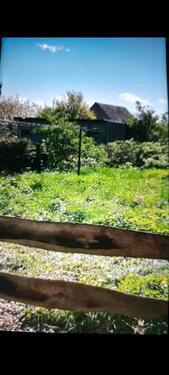 Foto - 5 Zimmer Bungalow zum Kaufen in Sohren