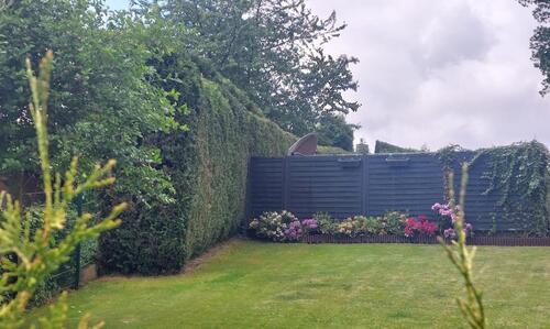 Foto - 6 Zimmer Etagenwohnung in Iserlohn