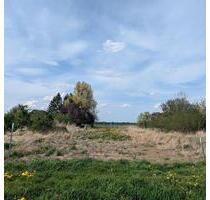 Ackerfläche zur Pacht | 332 m² | Stadtrand | Selbstversorgung - Prenzlau